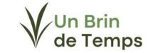 Un Brin de Temps